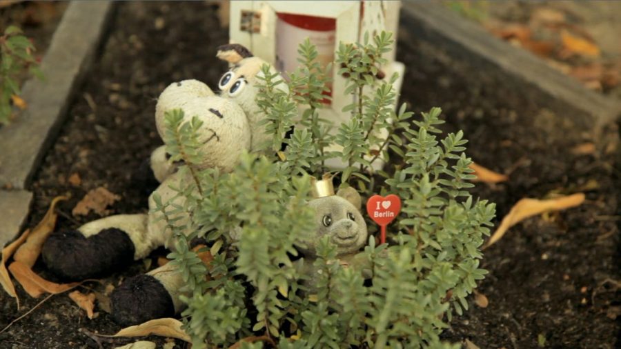 GdS STILLS Best of – 11 sur 84